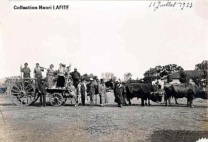 Oran- SDV- 2070- Lafite